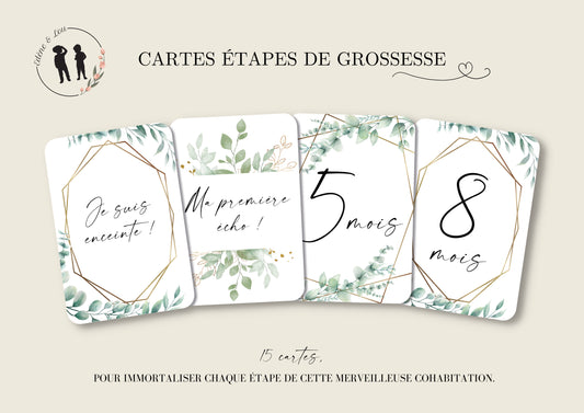 Cartes étapes de grossesse - thème boho eucalyptus - 15 cartes - mois de grossesse, écho, fille ou garçon