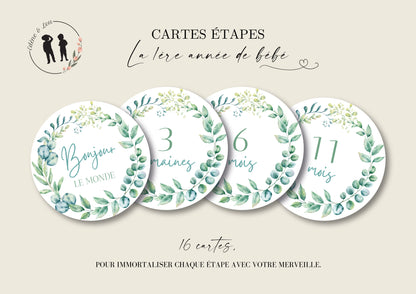 Cartes étapes bébé la première année de bébé - de la naissance à 1an - eucalyptus - 16 cartes rondes